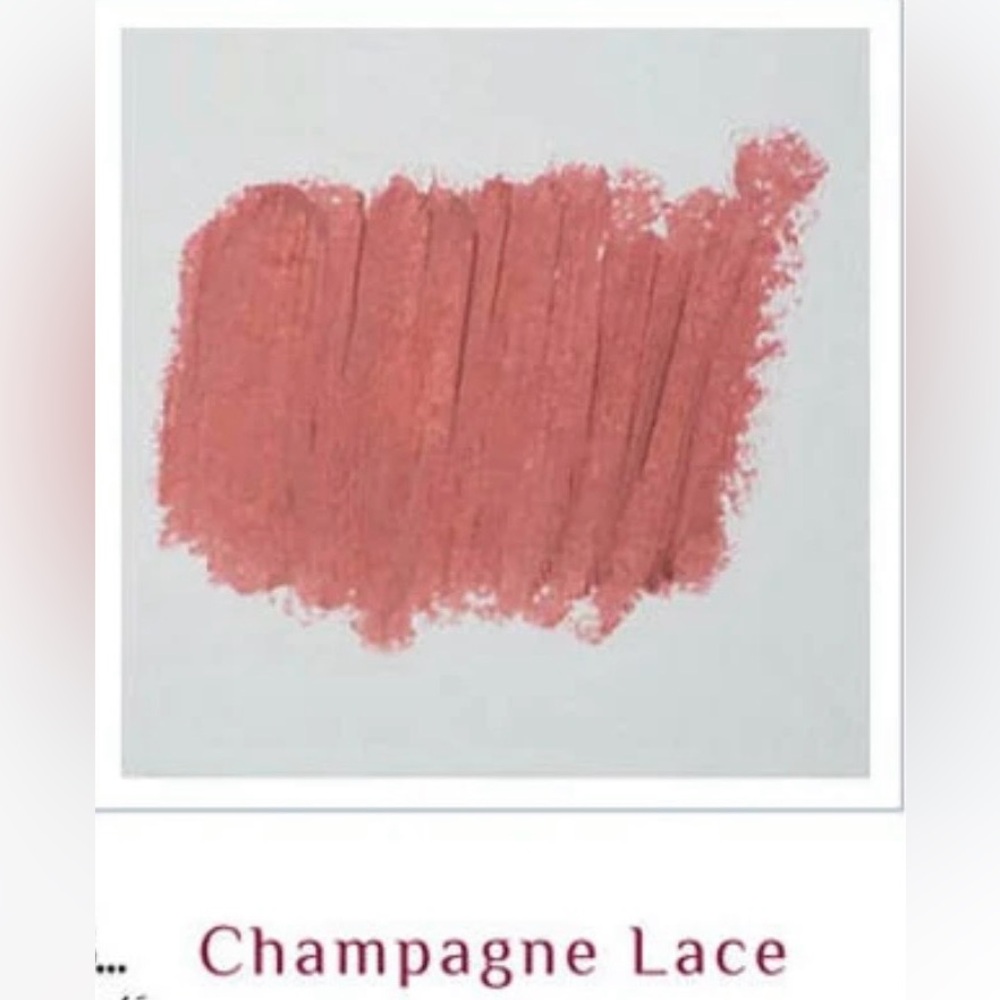 Private Label CHAMPAGNE LACE SHIMMER LIPSTICK FROM PROFESSIONAL MUA COUNTER!!!